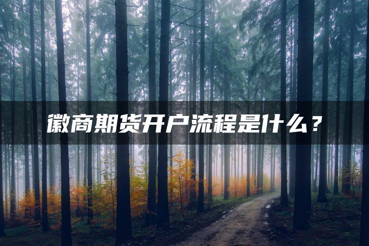徽商期货开户流程是什么？