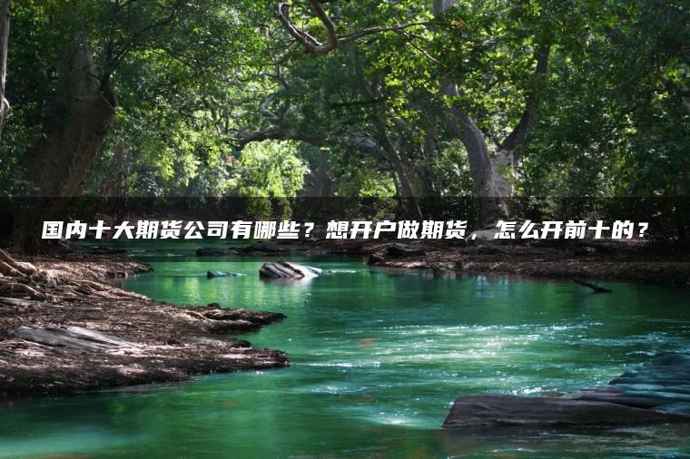 国内十大期货公司有哪些？想开户做期货，怎么开前十的？
