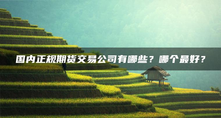 国内正规期货交易公司有哪些？哪个最好？