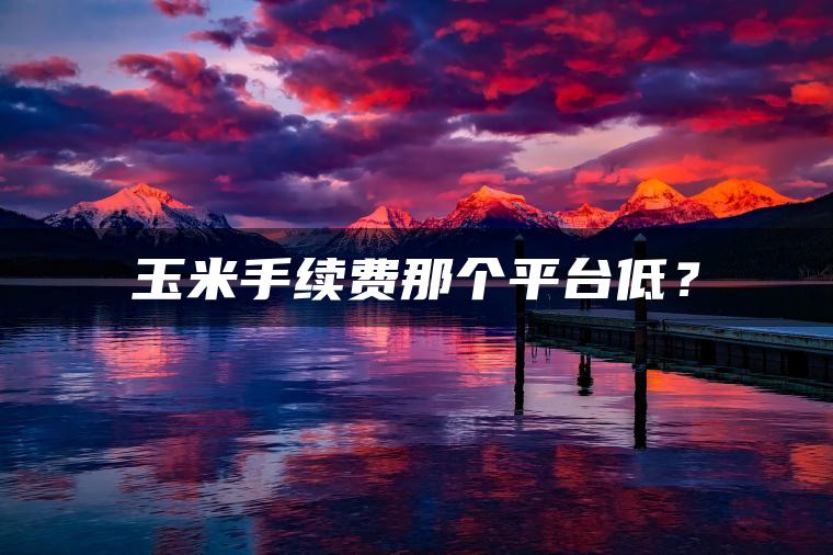 玉米手续费那个平台低？