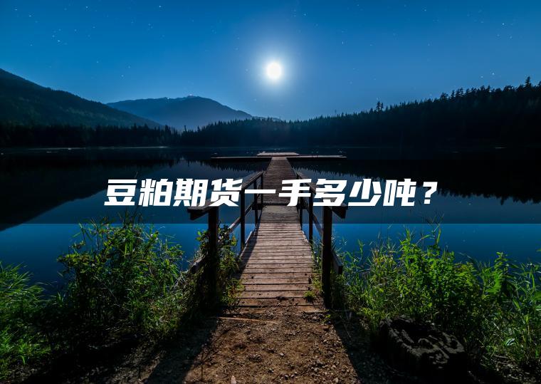 豆粕期货一手多少吨? 豆粕期货一手多少吨?