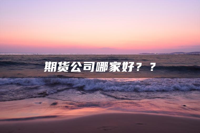 期货公司哪家好？？