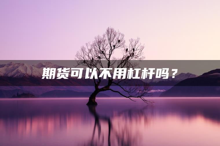 期货可以不用杠杆吗？