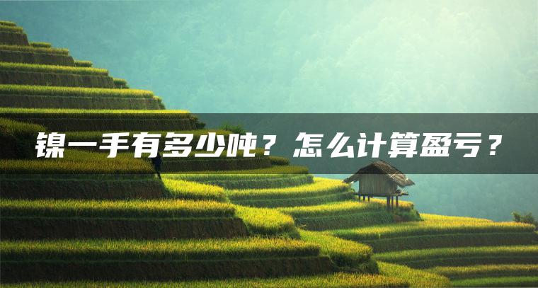 镍一手有多少吨？怎么计算盈亏？