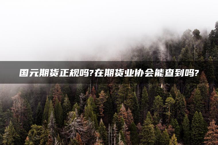 国元期货正规吗?在期货业协会能查到吗?