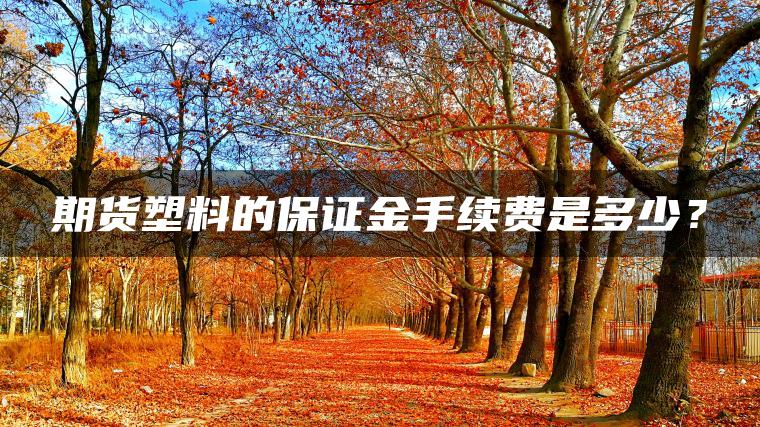 期货塑料的保证金手续费是多少? 期货塑料的保证金手续费是多少?