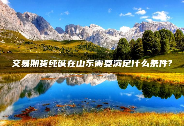 交易期货纯碱在山东需要满足什么条件? 交易期货纯碱在山东需要满足什么条件?