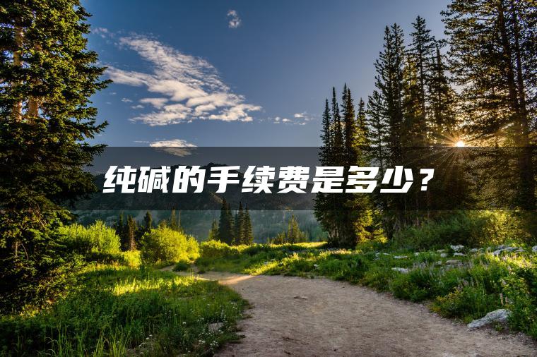 纯碱的手续费是多少? 纯碱的手续费是多少?