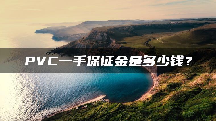PVC一手保证金是多少钱? PVC一手保证金是多少钱?