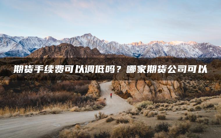 期货手续费可以调低吗？哪家期货公司可以