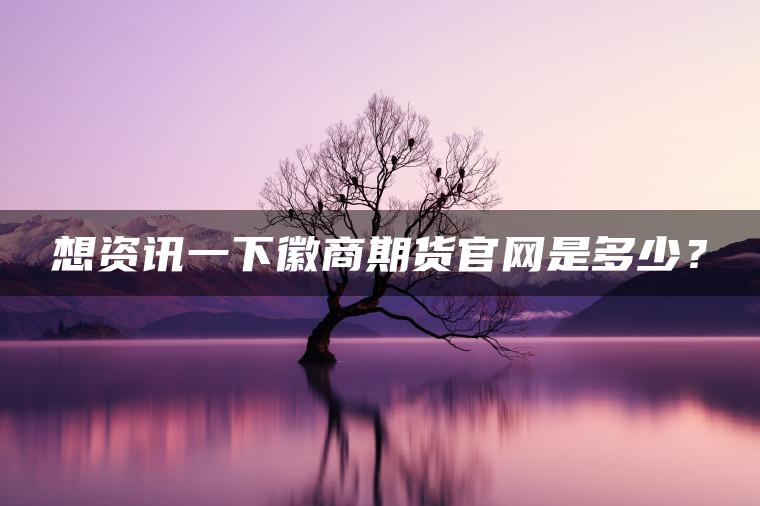 想资讯一下徽商期货官网是多少? 想资讯一下徽商期货官网是多少?