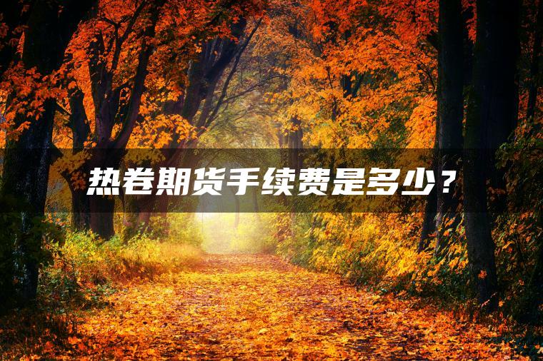 热卷期货手续费是多少? 热卷期货手续费是多少?