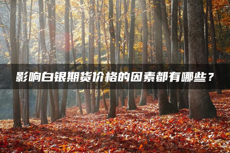 影响白银期货价格的因素都有哪些？