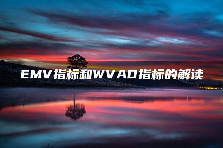 EMV指标和WVAD指标的解读