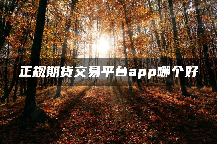 正规期货交易平台app哪个好