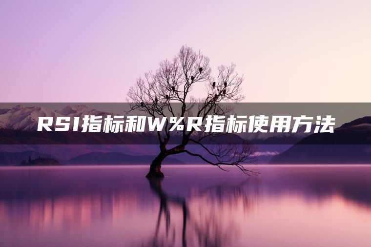 RSI指标和W%R指标使用方法