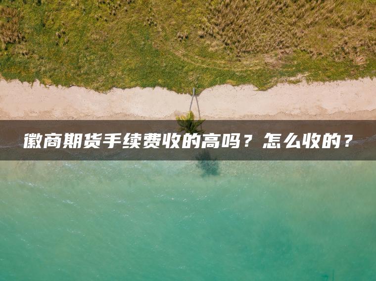 徽商期货手续费收的高吗？怎么收的？