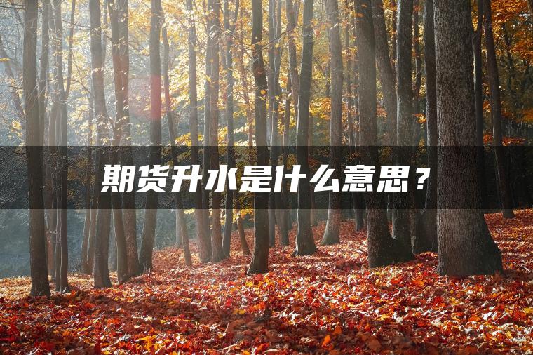 期货升水是什么意思？