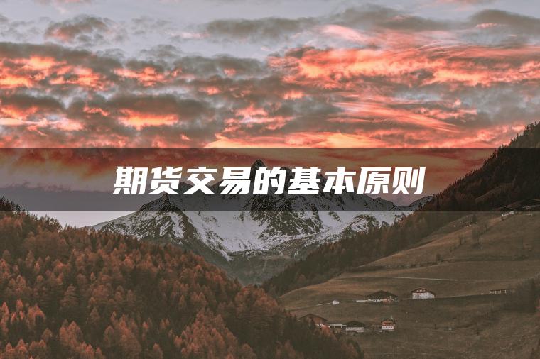 期货交易的基本原则
