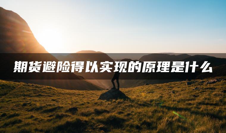 期货避险得以实现的原理是什么