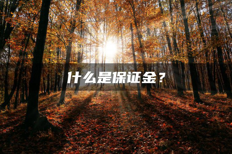 什么是保证金？