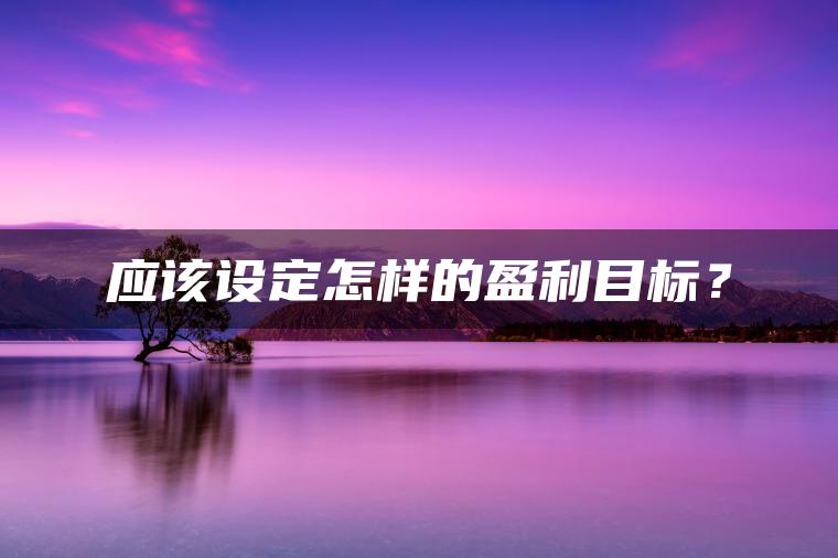 应该设定怎样的盈利目标？