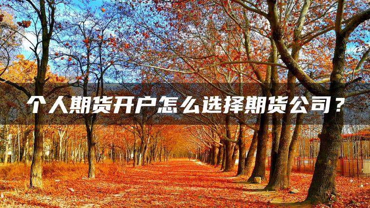 个人期货开户怎么选择期货公司？
