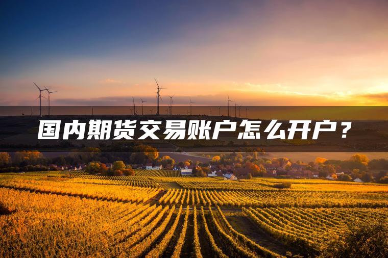 国内期货交易账户怎么开户？