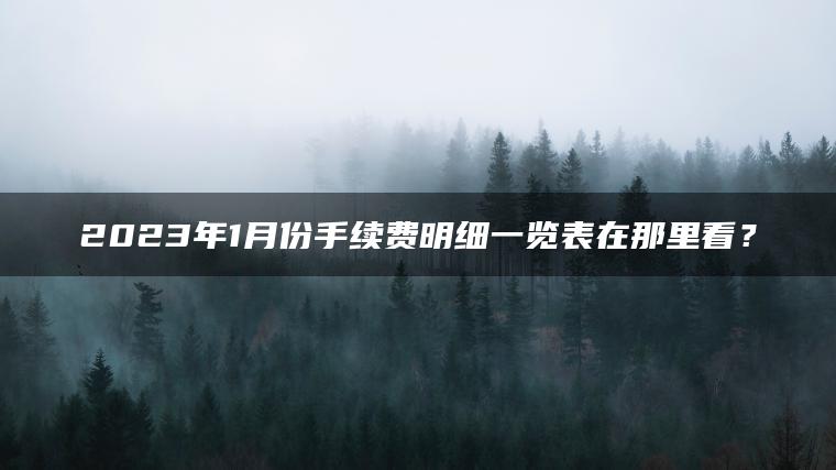 2023年1月份手续费明细一览表在那里看？