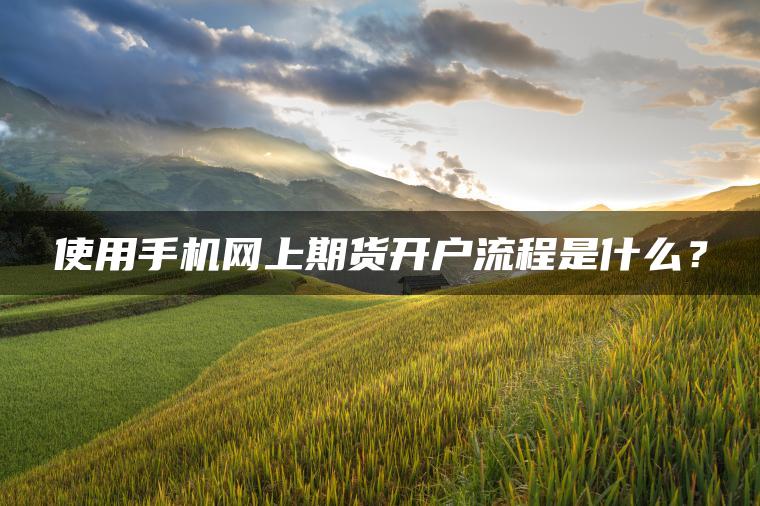 使用手机网上期货开户流程是什么？