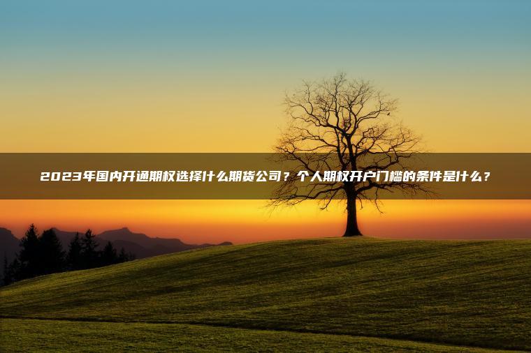 2023年国内开通期权选择什么期货公司？个人期权开户门槛的条件是什么？
