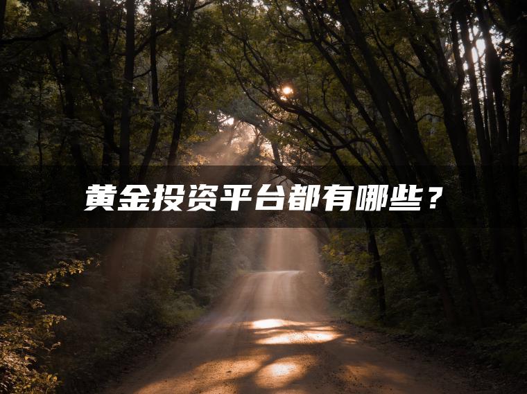 黄金投资平台都有哪些？