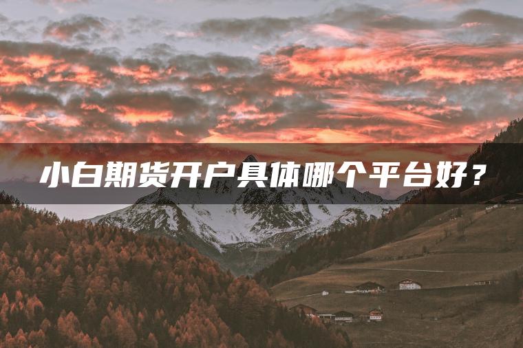 小白期货开户具体哪个平台好？