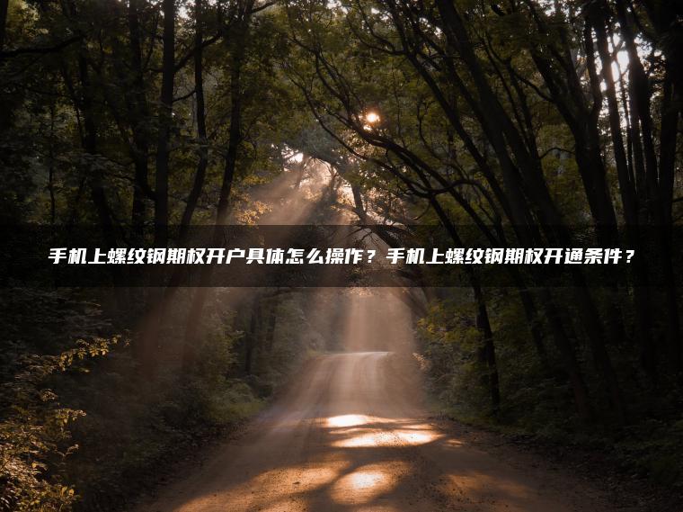 手机上螺纹钢期权开户具体怎么操作？手机上螺纹钢期权开通条件？