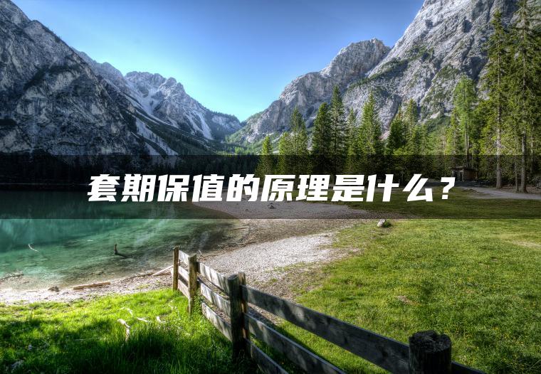 套期保值的原理是什么？