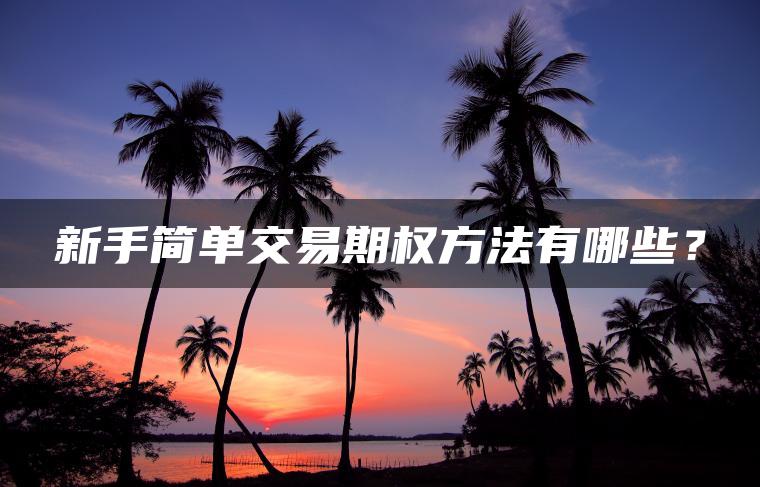 新手简单交易期权方法有哪些？
