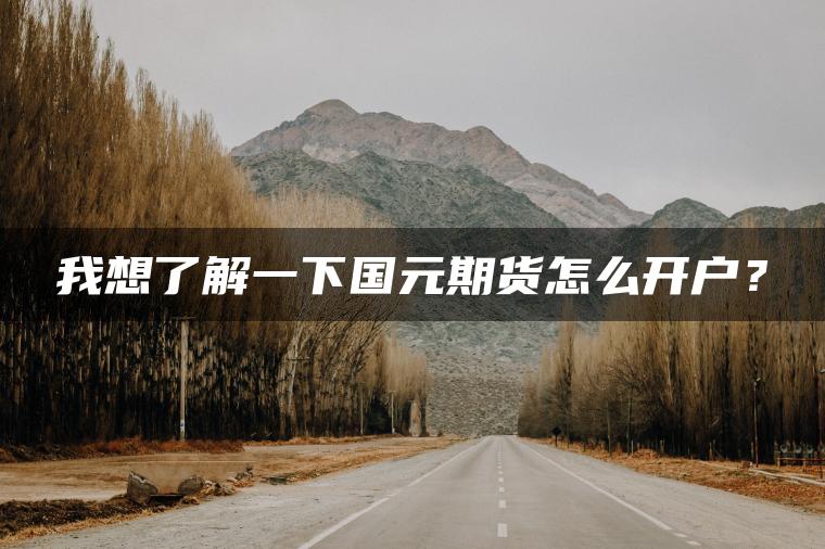 我想了解一下国元期货怎么开户？