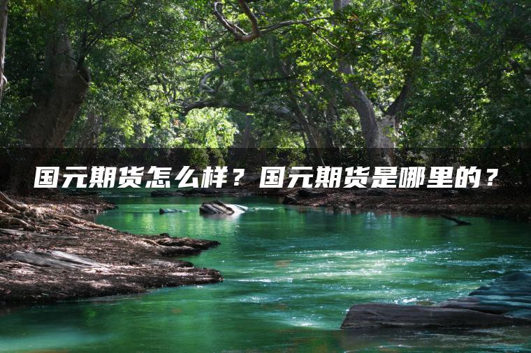 国元期货怎么样？国元期货是哪里的？