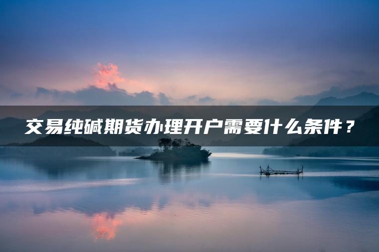 交易纯碱期货办理开户需要什么条件？