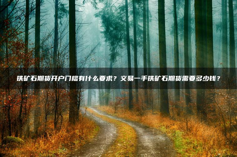 铁矿石期货开户门槛有什么要求？交易一手铁矿石期货需要多少钱？