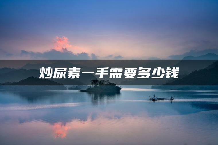 炒尿素一手需要多少钱