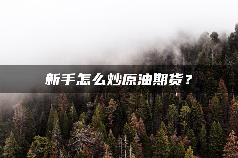 新手怎么炒原油期货？