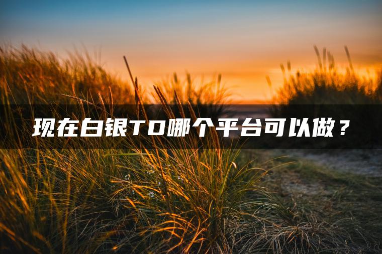 现在白银TD哪个平台可以做？