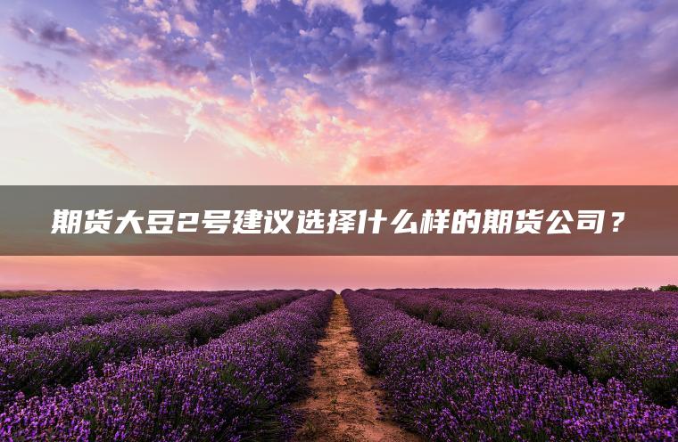 期货大豆2号建议选择什么样的期货公司？