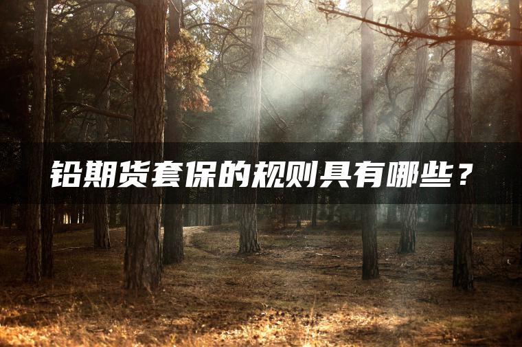 铅期货套保的规则具有哪些？