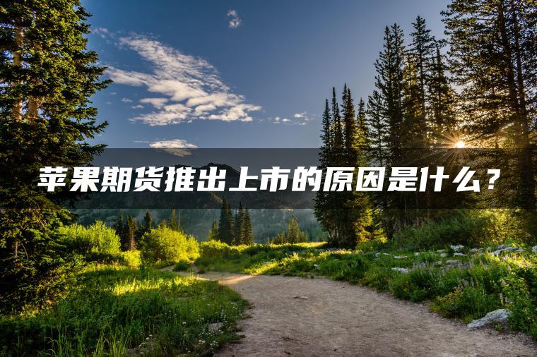 苹果期货推出上市的原因是什么？