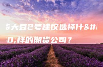 期货大豆2号建议选择什么样的期货公司？