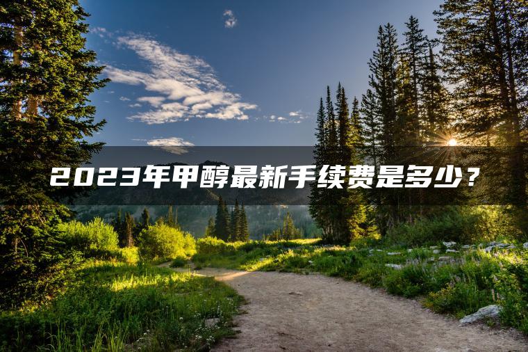 2023年甲醇最新手续费是多少? 2023年甲醇最新手续费是多少?