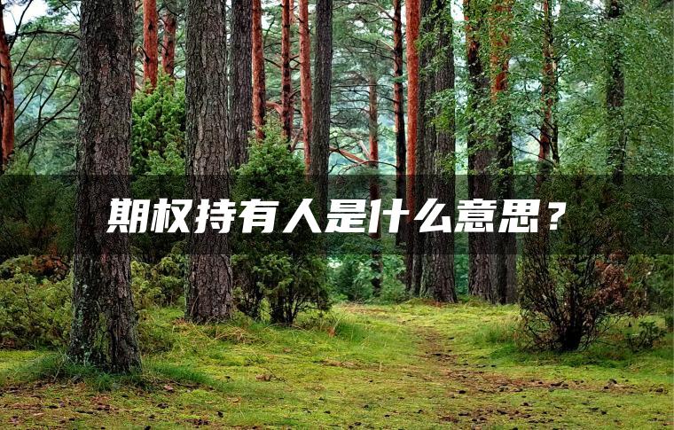 期权持有人是什么意思？