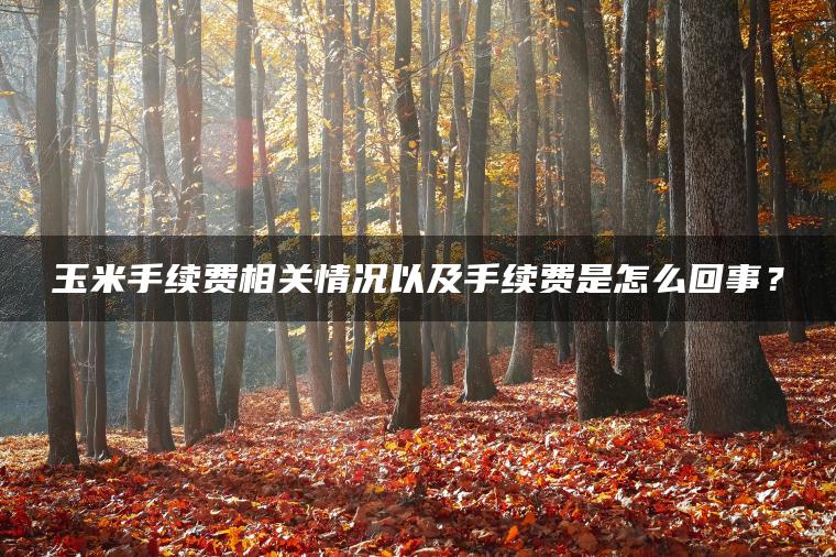 玉米手续费相关情况以及手续费是怎么回事？